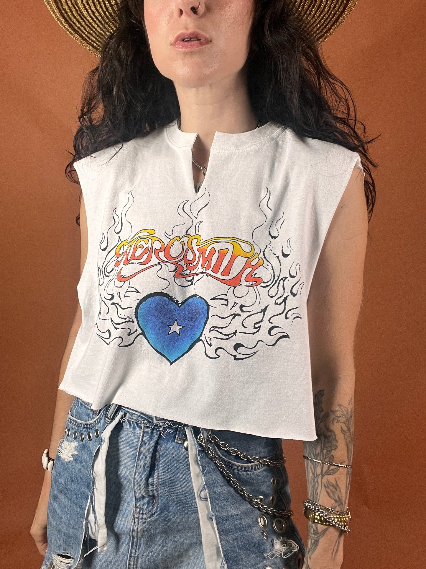 Aerosmith Serape Stripe Crop Top - S